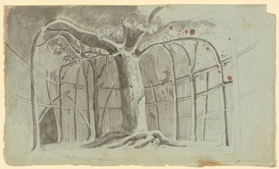 Crude Hut around a Tree by Michael Mayr
